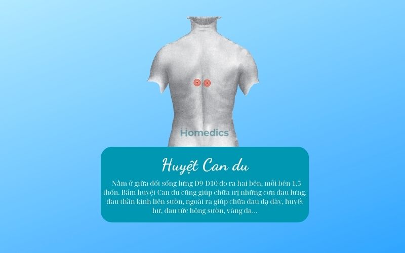 Các huyệt đạo cần biết khi masage trên lưng 9 huyệt can du