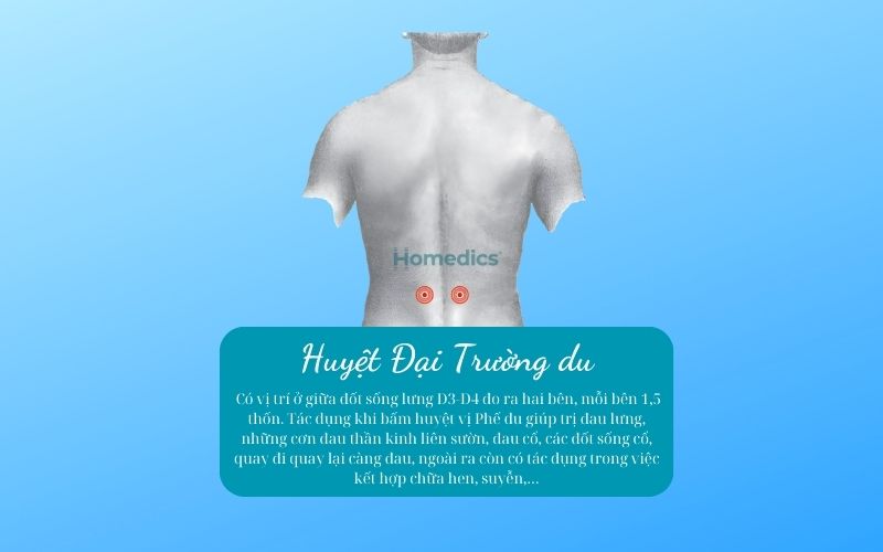 Các huyệt đạo cần biết khi masage trên lưng 5 huyệt đại trường du