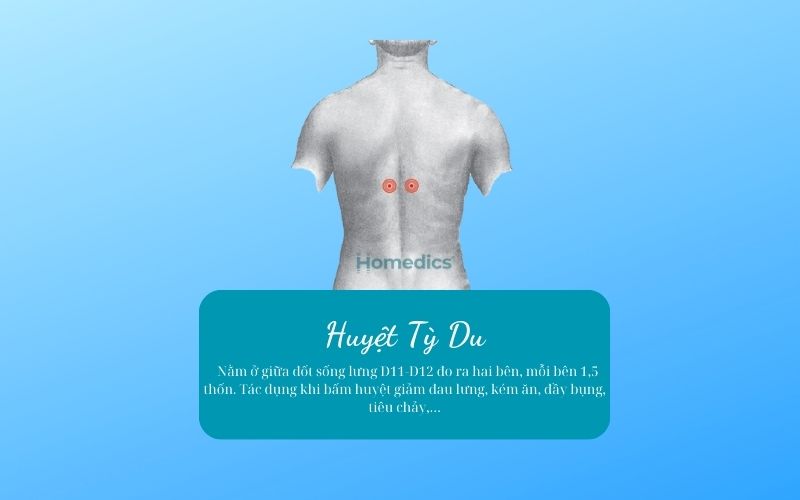 Các huyệt đạo cần biết khi masage trên lưng 10 huyệt tỳ du