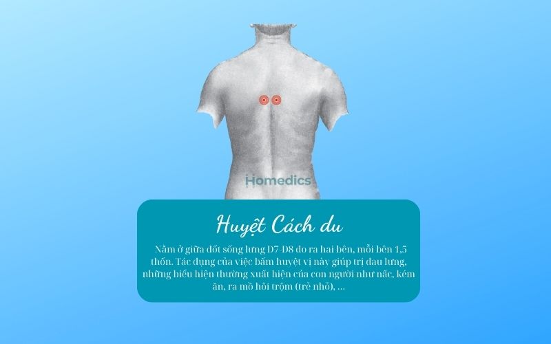 Các huyệt đạo cần biết khi masage trên lưng 8 huyệt cách du