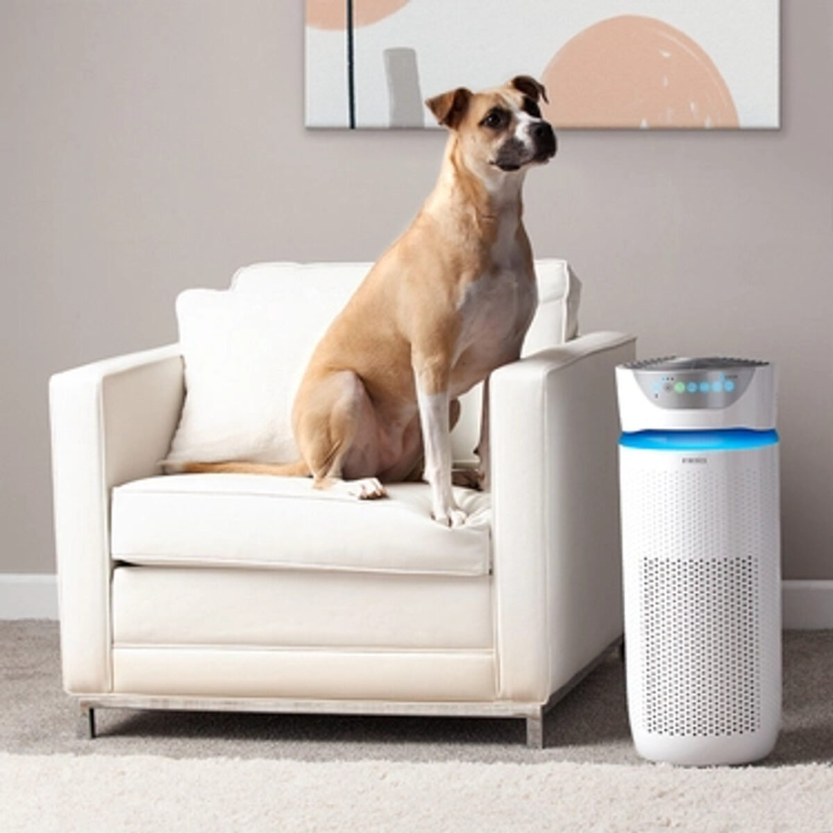 Máy lọc không khí 5 in 1 phòng lớn TotalClean™ Homedics AP-T40 - Ảnh 5
