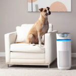 Máy lọc không khí 5 in 1 phòng lớn TotalClean™ Homedics AP-T40 - Ảnh 5