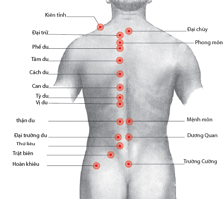 Các huyệt đạo cần biết khi masage trên lưng 2 Các huyệt đạo trên lưng