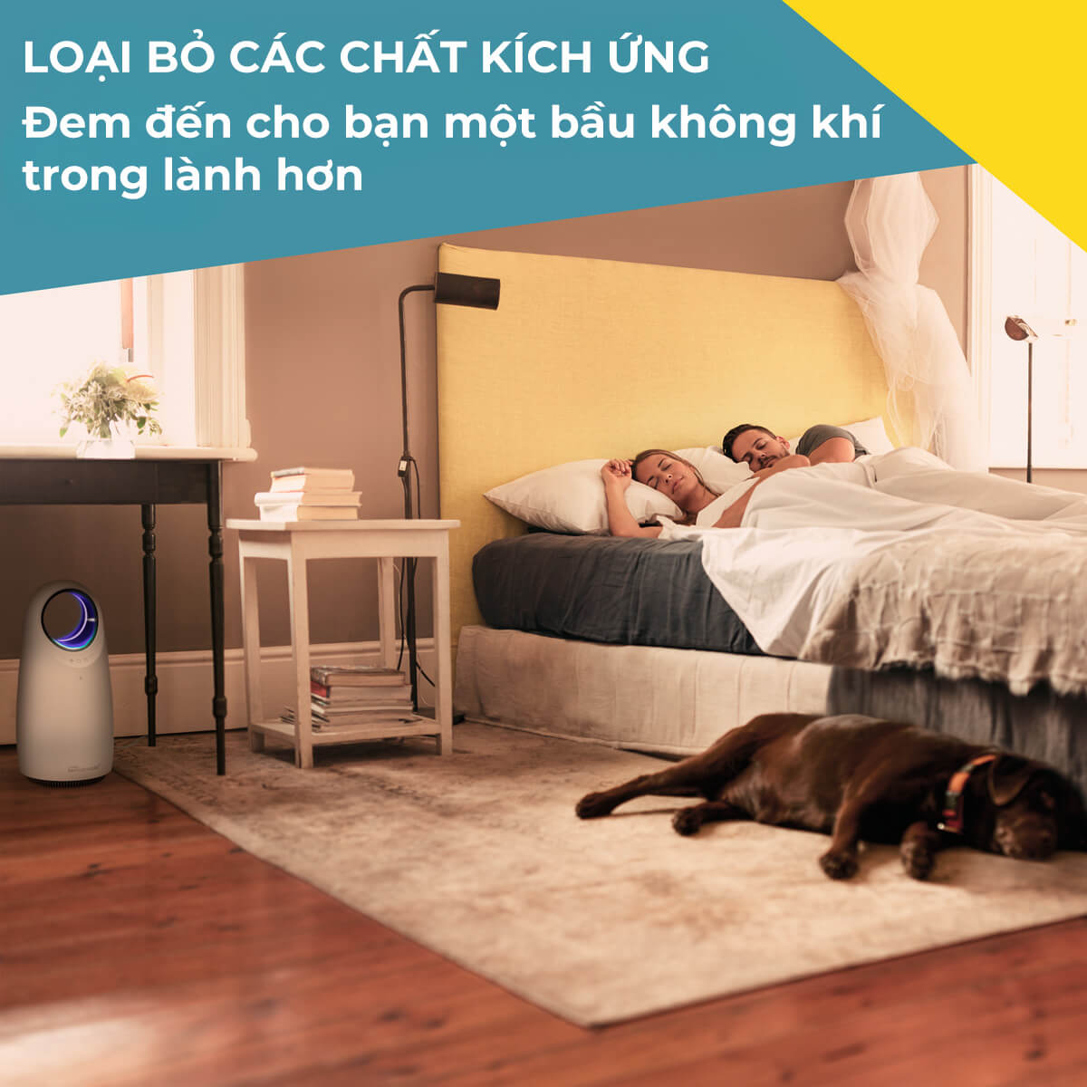Máy lọc không khí cho trẻ sơ sinh