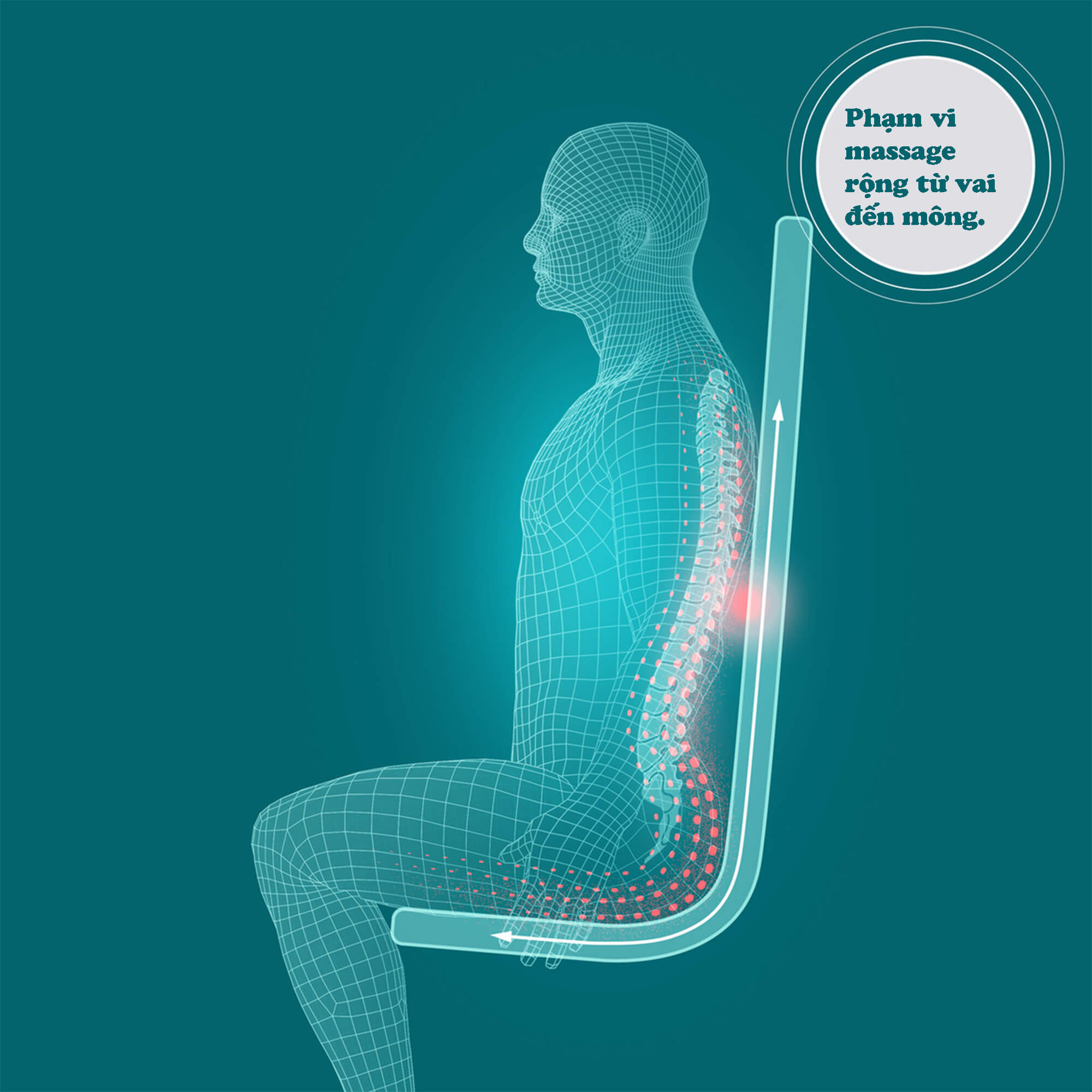 Đệm massage lưng HoMedics MCS-512H công nghệ massage Shiatsu